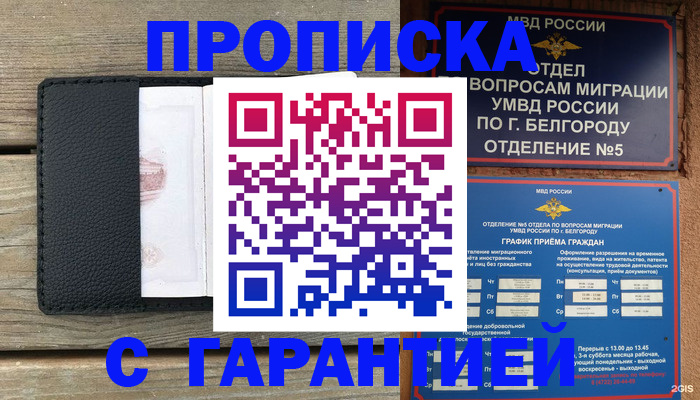 временная регистрация для всех в Дмитрове